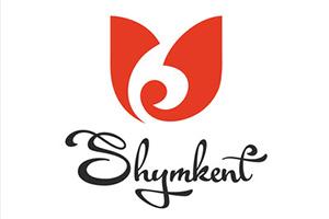 Нұсқаулық хат